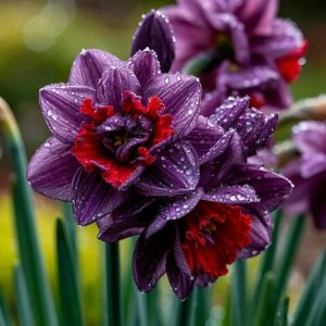 Нарцисс Минт Флер купить по цене от 2000р. в интернет-магазине «Посадика» с доставкой почтой в в Сосногорске и по всей России – [изображение №1].