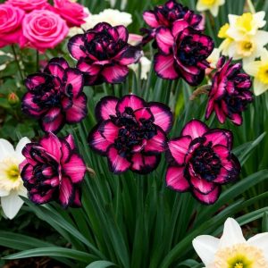 Нарцисс Золотая Корона купить по цене от 2000р. в интернет-магазине «Посадика» с доставкой почтой в в Сосногорске и по всей России – [изображение №1].