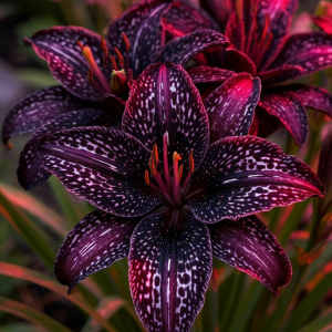 Лилейник Вояж купить по цене от 699р. в интернет-магазине «Посадика» с доставкой почтой в в Сосногорске и по всей России – [изображение №1].